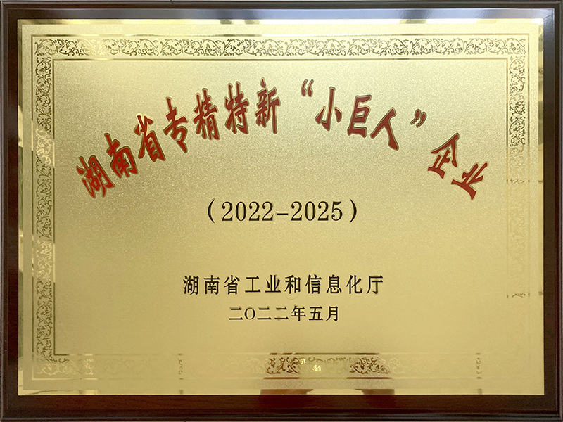 湖南省專精特新“小巨人”企業